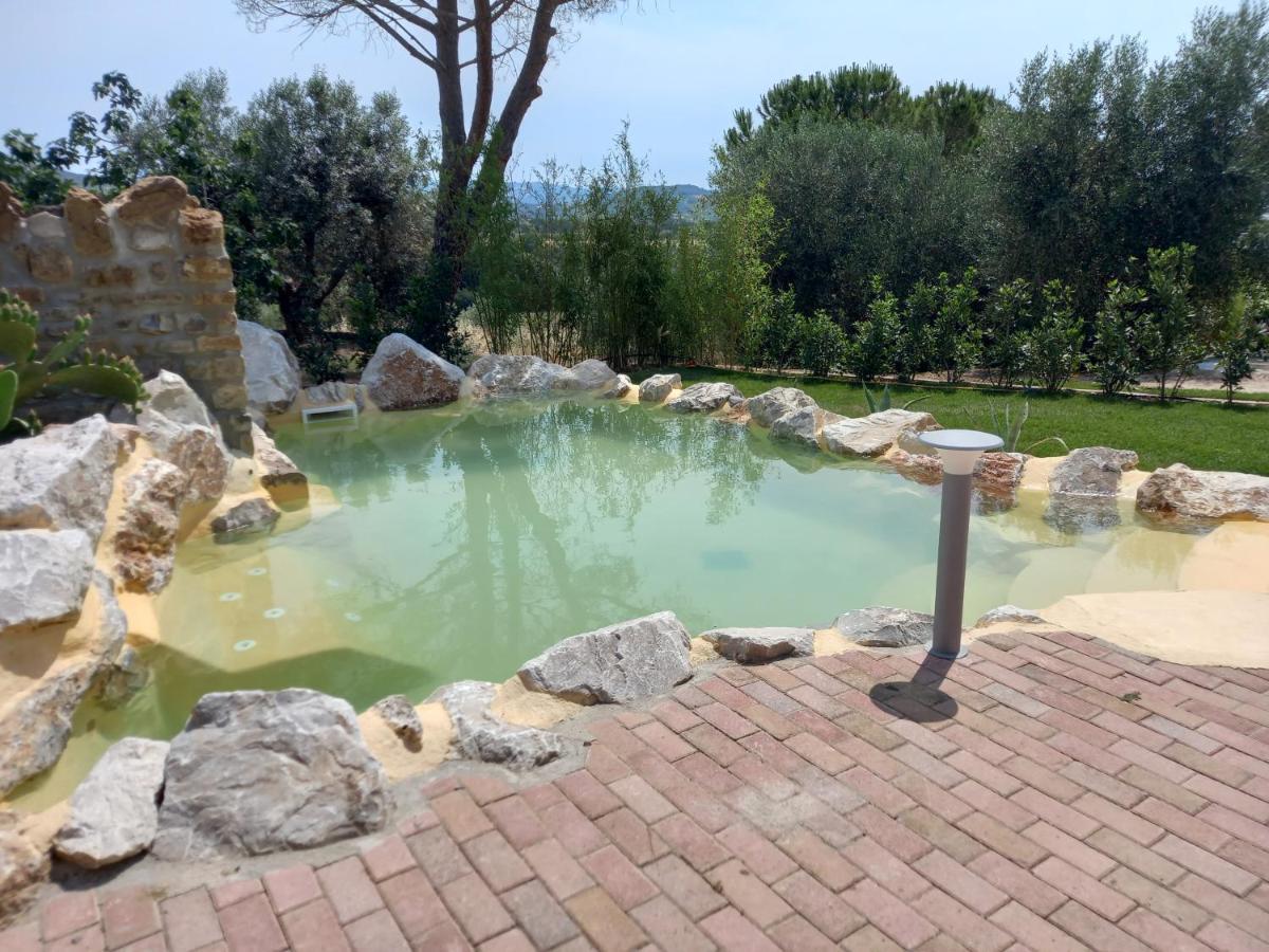 Agriturismo La Fontanella & Glamping Suvereto Eksteriør billede