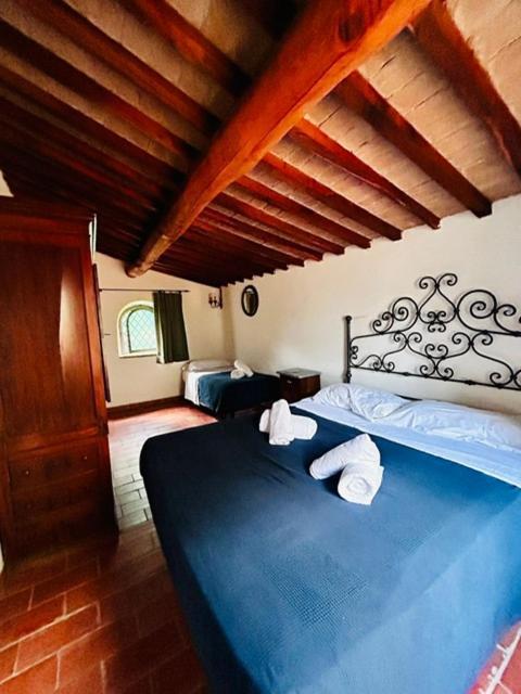 Agriturismo La Fontanella & Glamping Suvereto Eksteriør billede