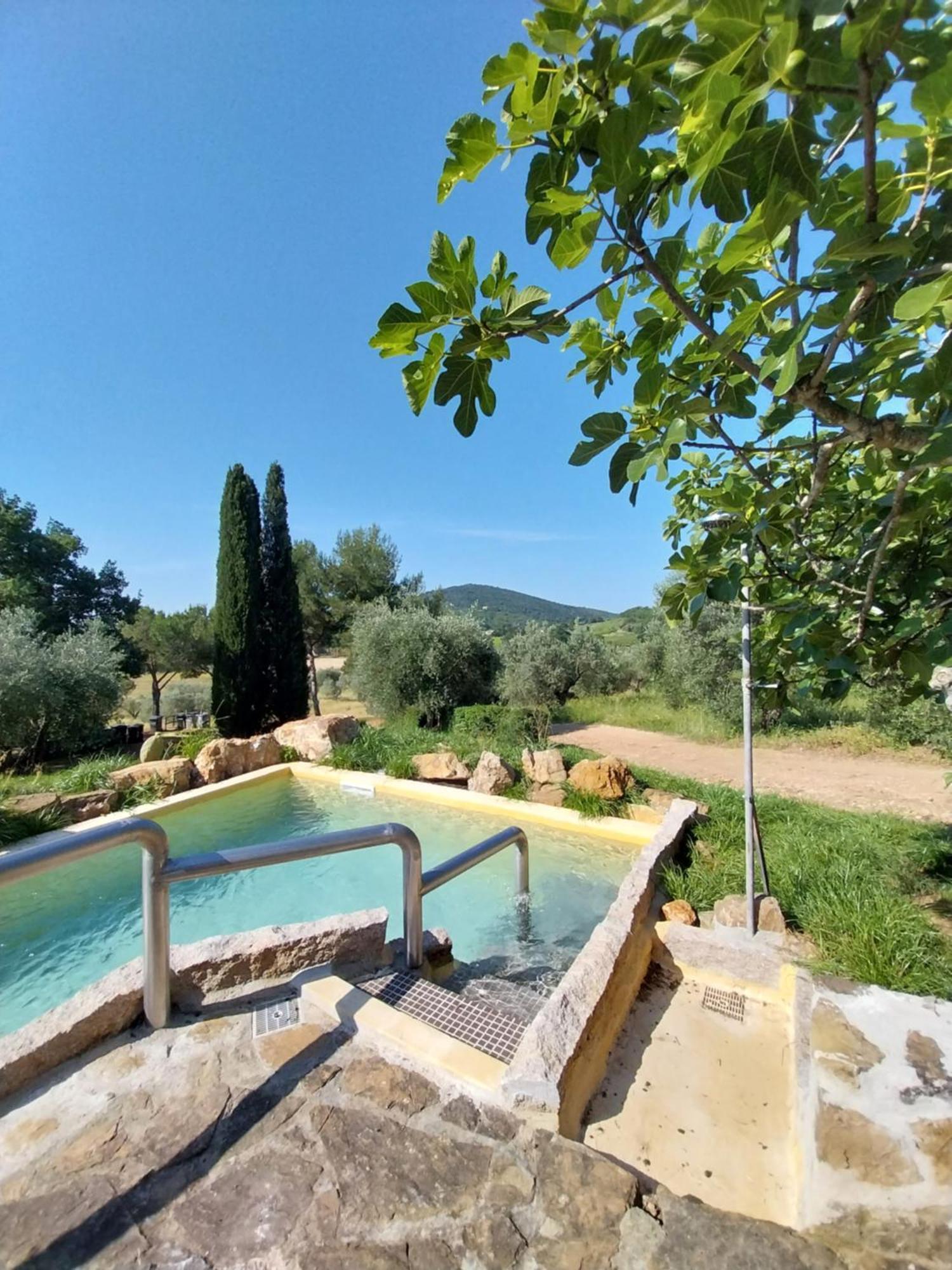 Agriturismo La Fontanella & Glamping Suvereto Eksteriør billede