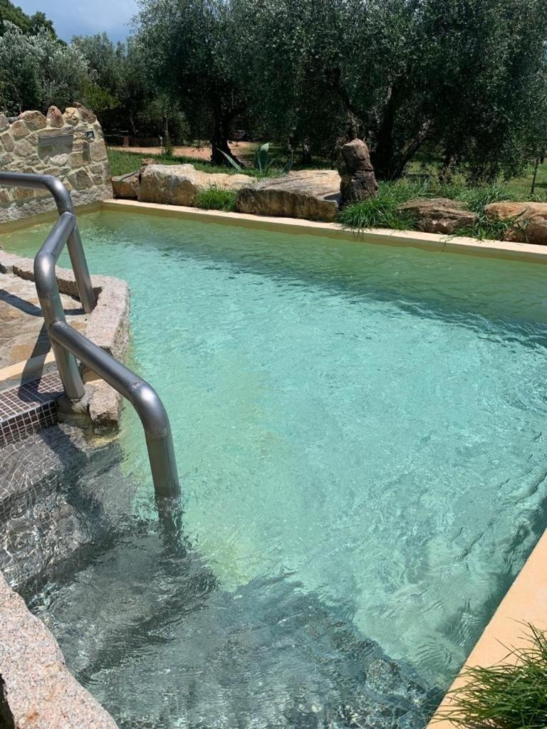 Agriturismo La Fontanella & Glamping Suvereto Eksteriør billede