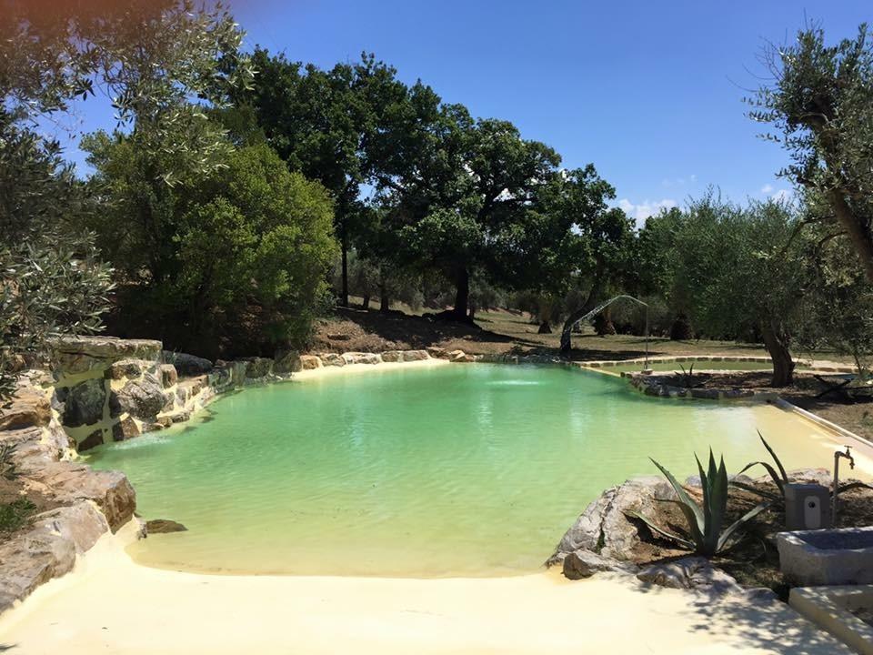 Agriturismo La Fontanella & Glamping Suvereto Eksteriør billede