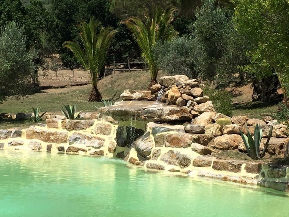 Agriturismo La Fontanella & Glamping Suvereto Eksteriør billede