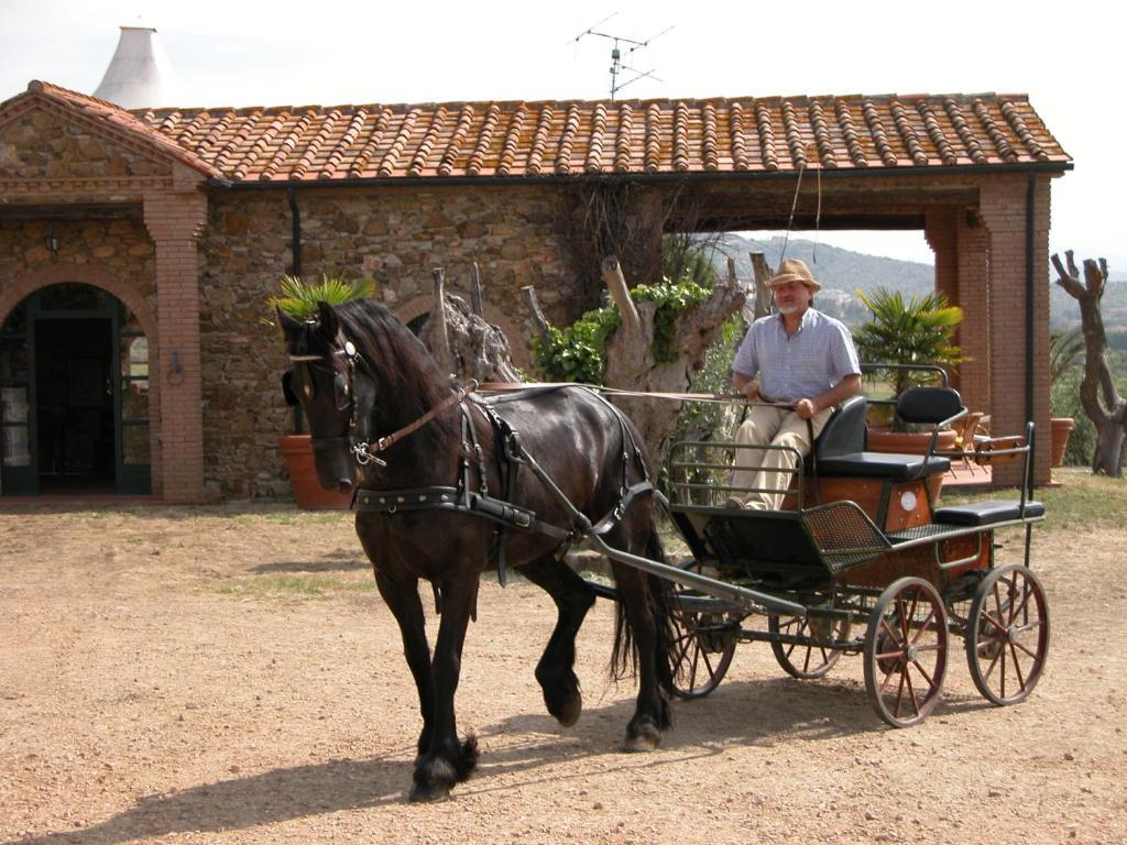 Agriturismo La Fontanella & Glamping Suvereto Eksteriør billede