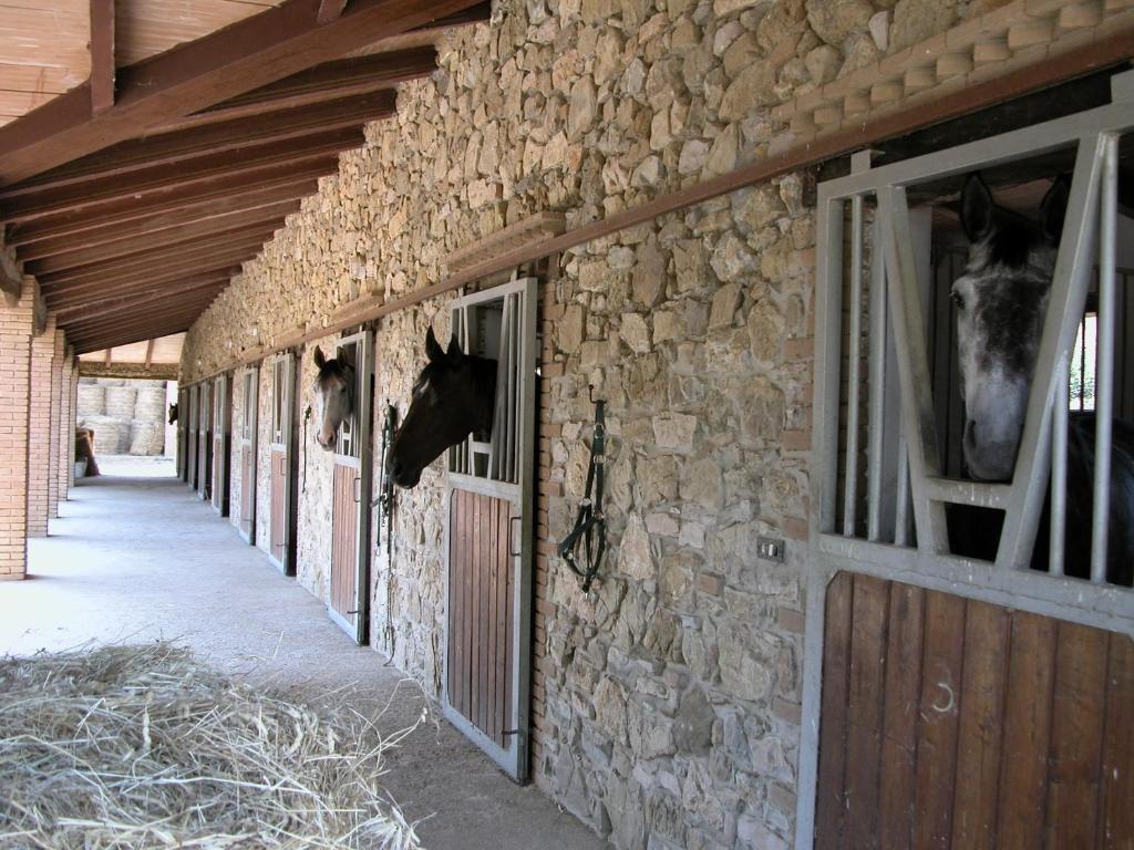 Agriturismo La Fontanella & Glamping Suvereto Eksteriør billede
